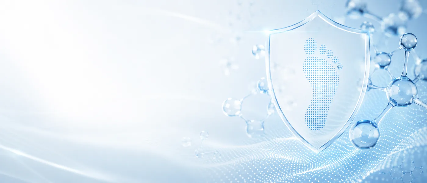 Piroctone Olamine molecular visual