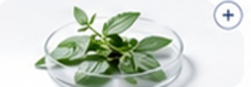 Sensidin DO botanical visual