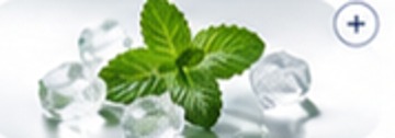 Menthol leaves